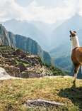 The Best Way to Hike to Machu Picchu Is Not the Inca Trail