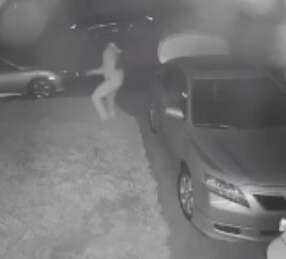 Man surprised by coyote during car break-in
