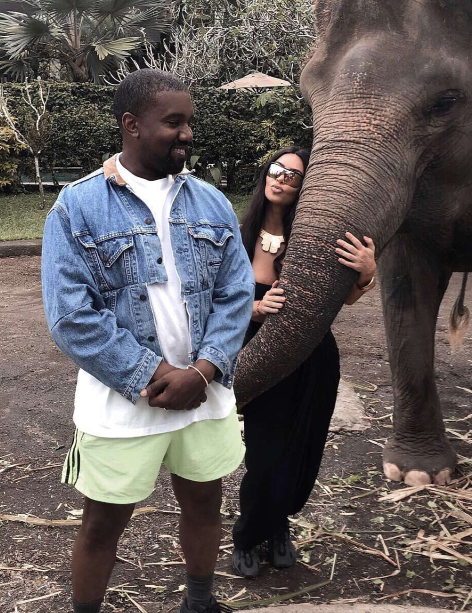 Kim Kardashian Visits Elephants At Harmful Attraction - The Dodo