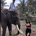 riding elephants