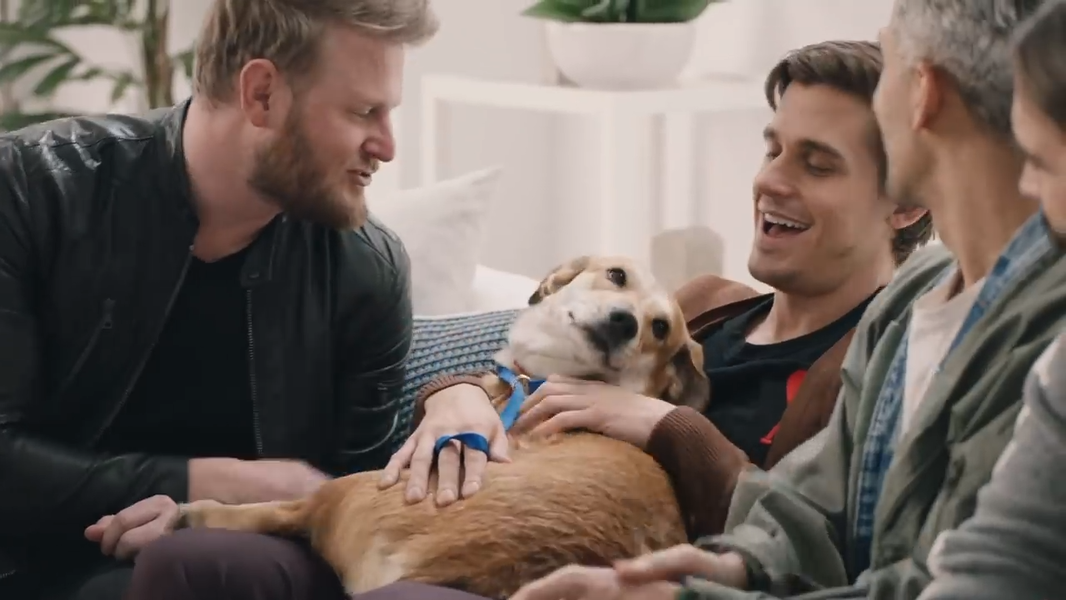 Queer Eye's Fab Five Guys Give Adorable Rescue Dog a Makeover Thrillist