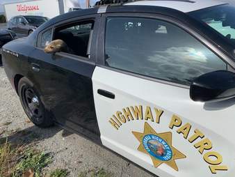 Sea lion arrested for holding up traffic