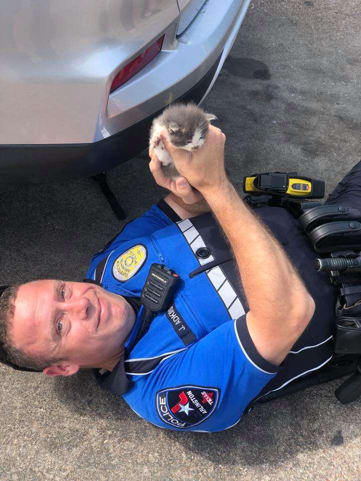 police officer cuddles kittens