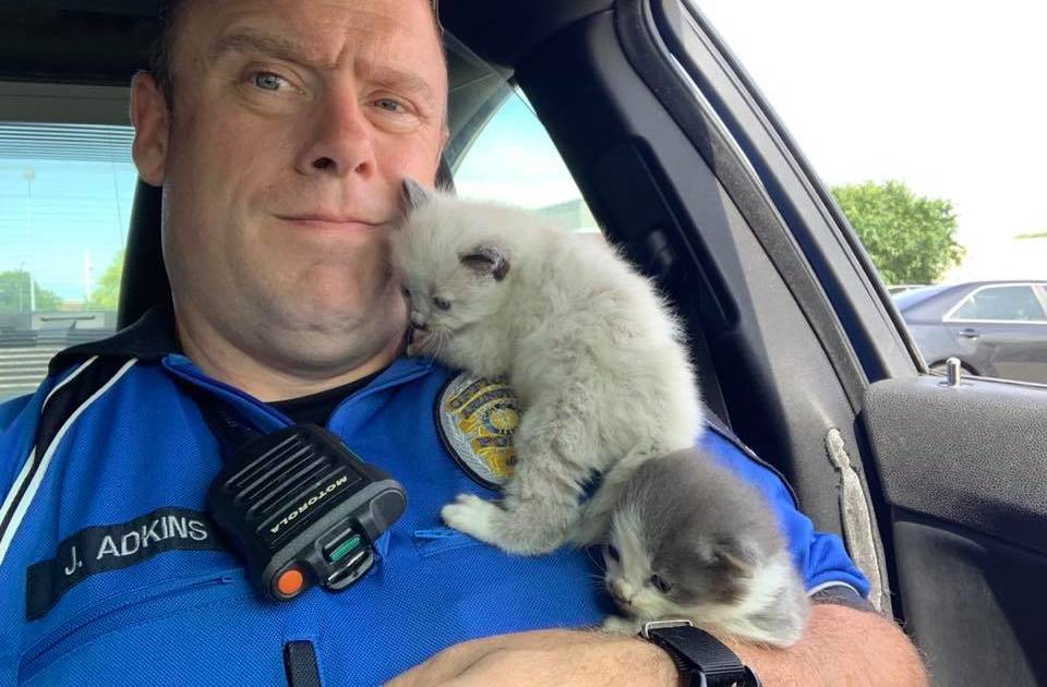 Police Officer Brings His Rescued Kitten To Work Every Day - The Dodo
