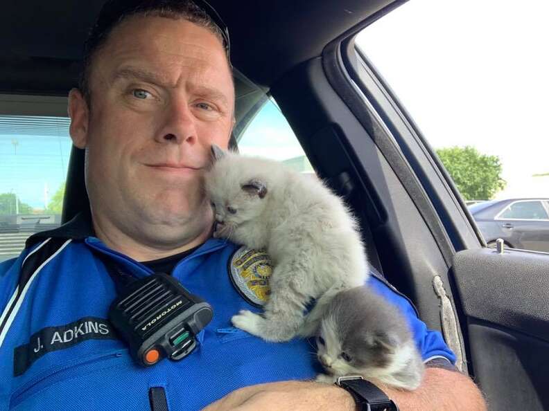 police officer cuddles kittens