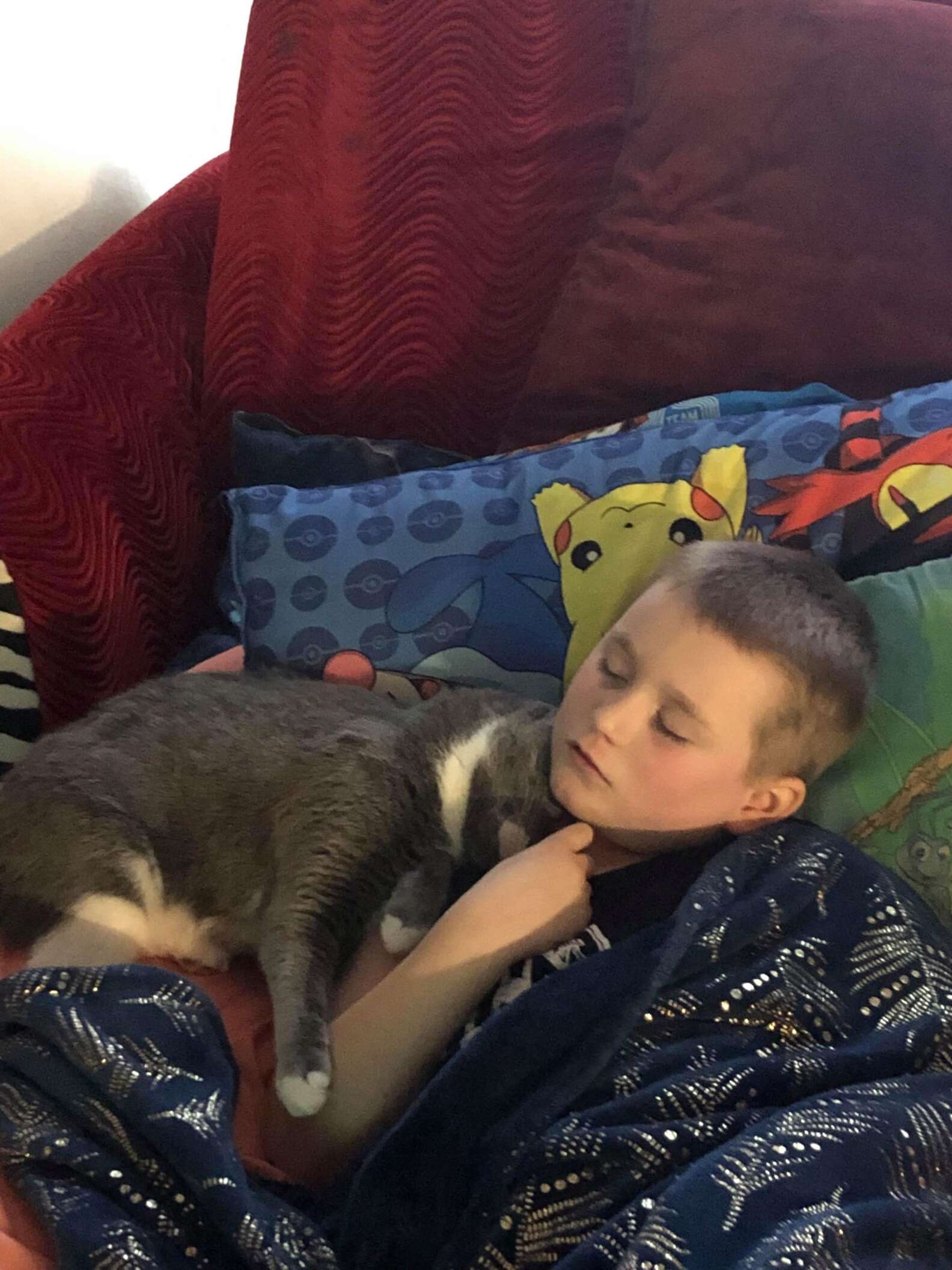 Cat Sees Little Boy Having A Meltdown — And Knows Exactly What To Do ...