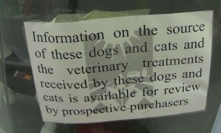 Sign in pet store window about information disclosure 