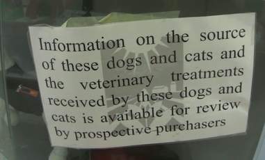 Sign in pet store window about information disclosure