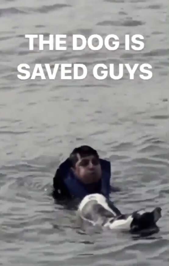 man jumps into river to save dog