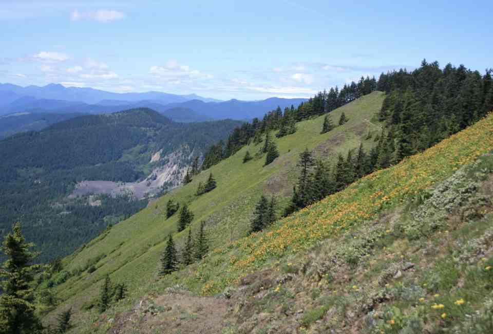 Best Hikes Near Portland Hiking Trails And Parks Worth Checking Out
