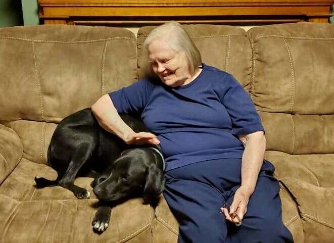 Mason the hero dog saves grandmother's life