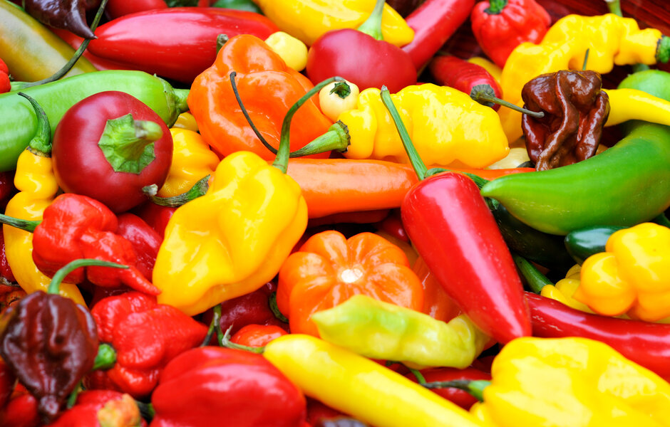 Types of Peppers, Explained: Heat Levels of Different Chili Peppers -  Thrillist