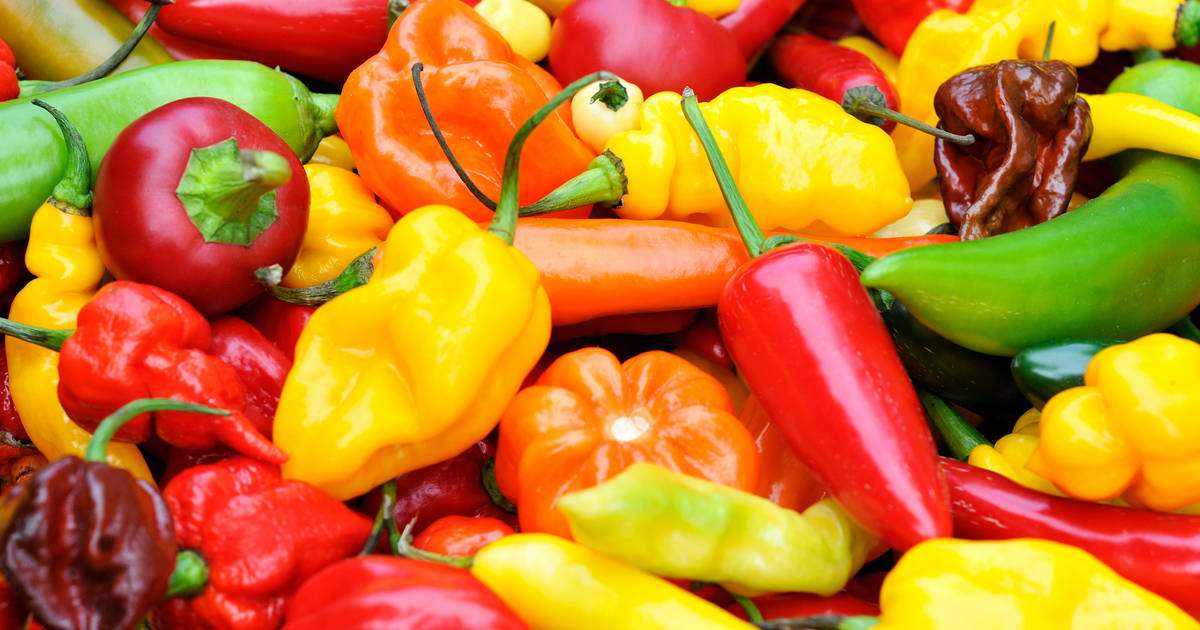 Types of Peppers, Explained: Heat Levels of Different Chili