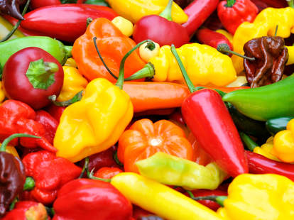 mix of chile chili peppers spicy spice guide thrillist types of chiles
