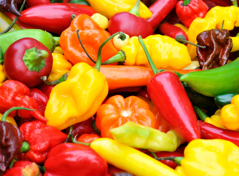 Types of Peppers, Explained: Heat Levels of Different Chili Peppers