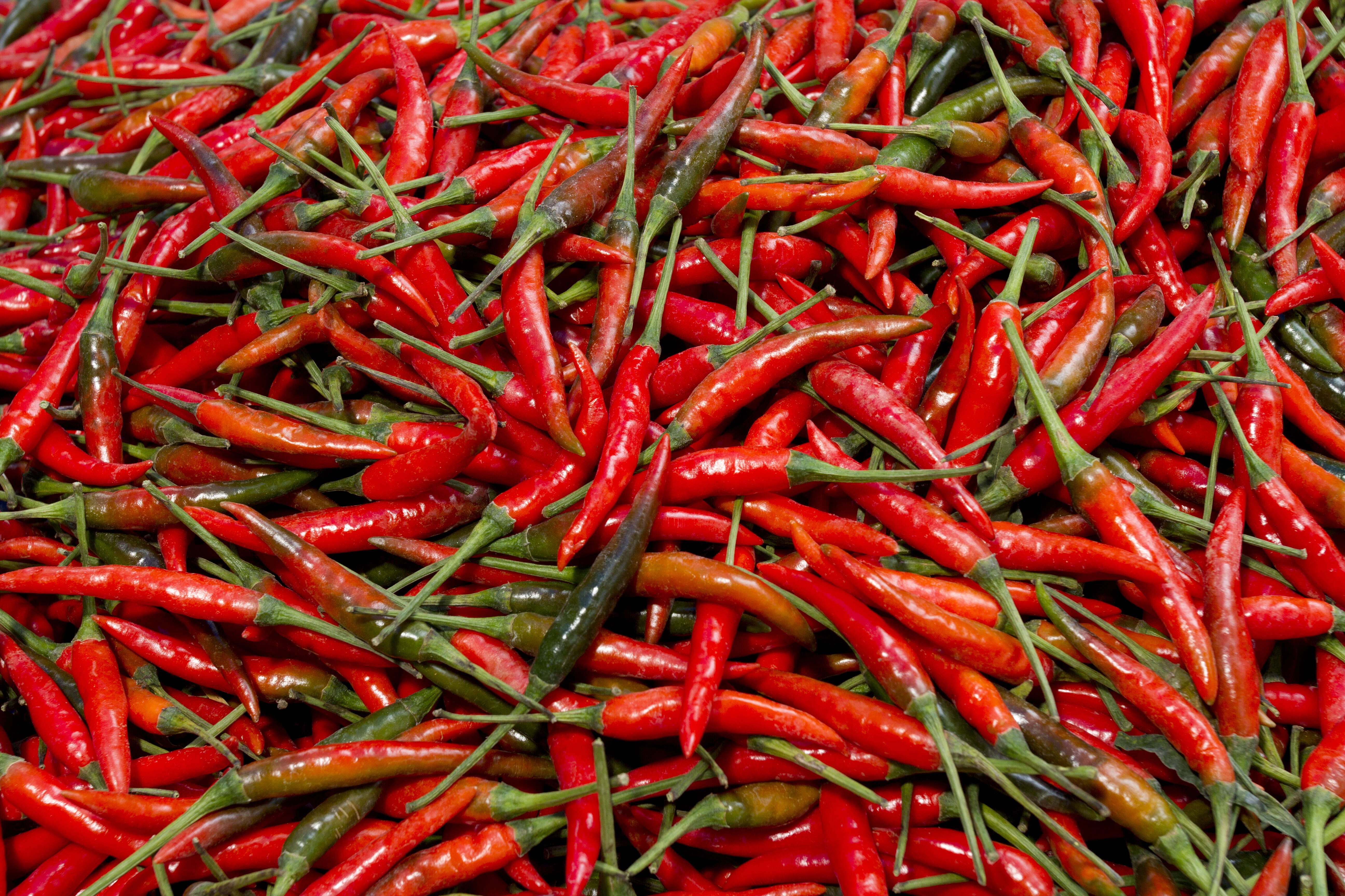 Thai chili chile peppers