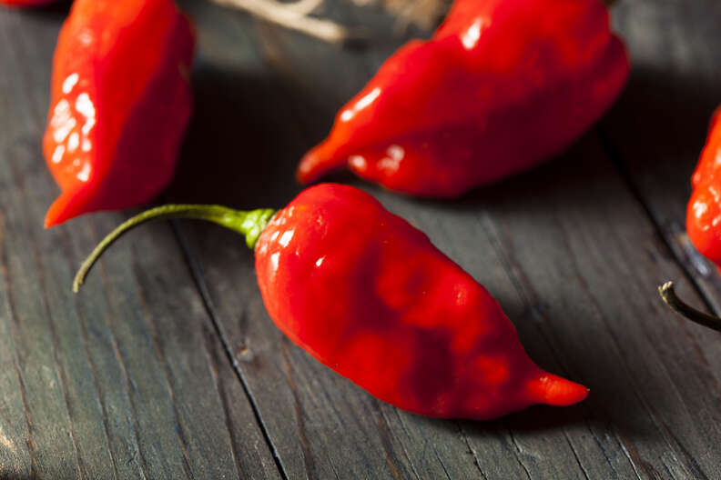 ghost pepper chile