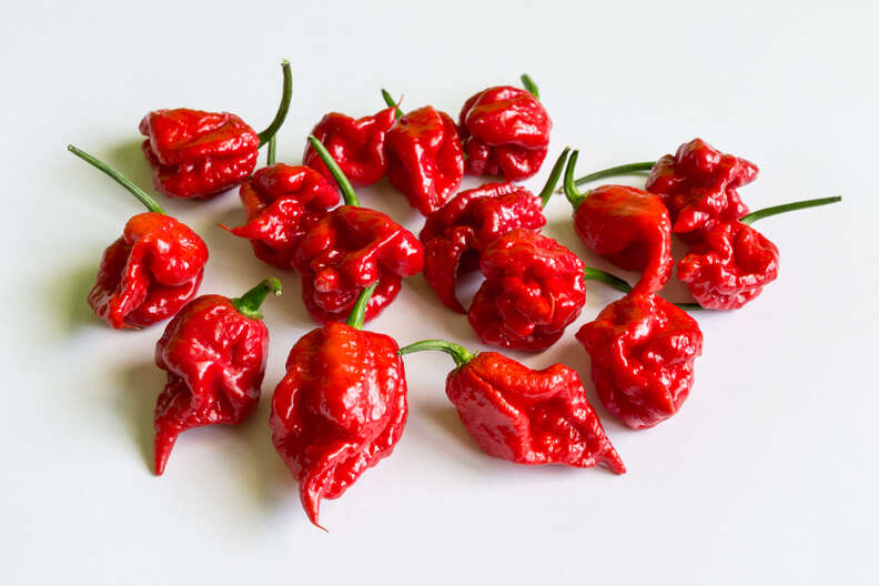 Types of Peppers, Explained: Heat Levels of Different Chili Peppers -  Thrillist