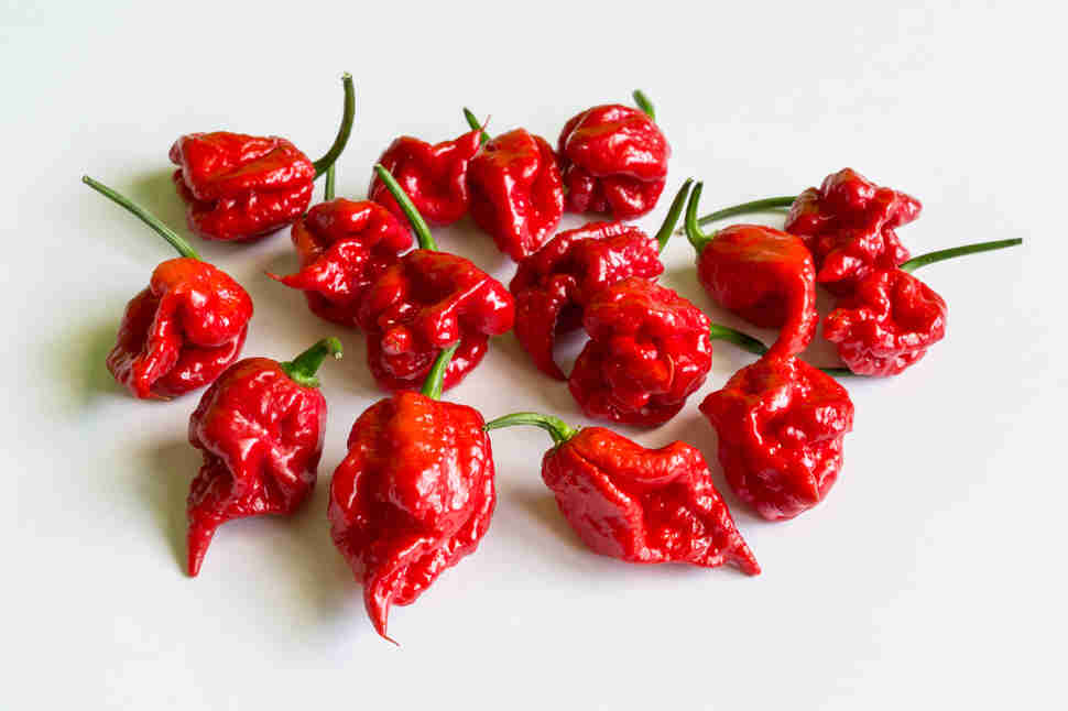 Types of Peppers, Explained: Heat Levels of Different Chili Peppers ...