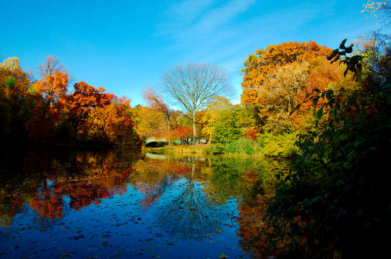 Autumn in Prospect Park