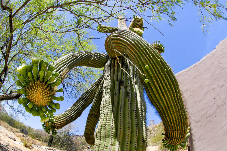 south Mountain Park, Phoenix