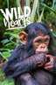 Wild Hearts