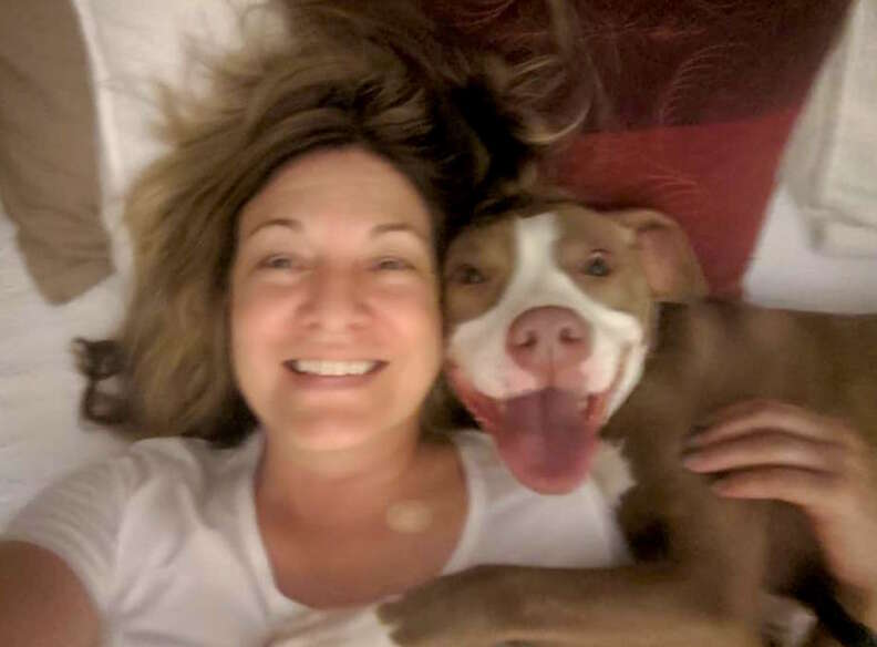 Foster mom sings adoptable pit bull's praises