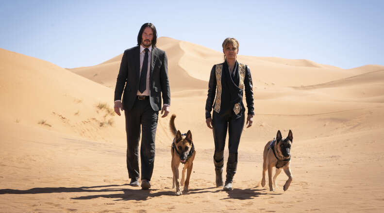 John Wick Chapter 2 Expanded Universe and Assassin's Guild, Explained -  Thrillist