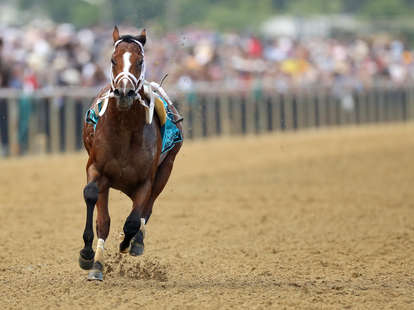 bodexpress meme preakness