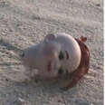 Man Sees Creepy Doll Head On Beach — Then Notices It's Moving