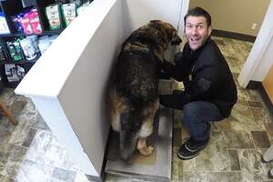 Guy Furnishes His House For His 9 Dogs