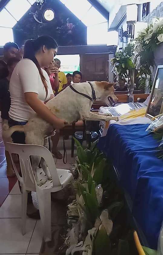 Dog at his owner's funeral
