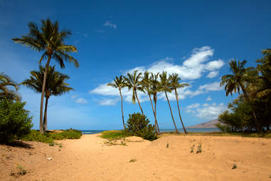 Best Beaches In Hawaii Most Beautiful And Scenic Beaches To Visit Thrillist