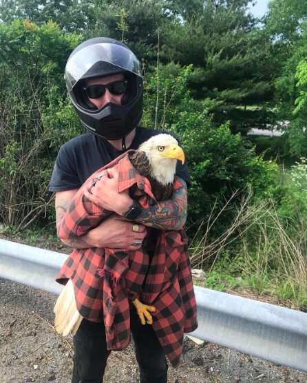 Man holds bald eagle wrapped in his shirt