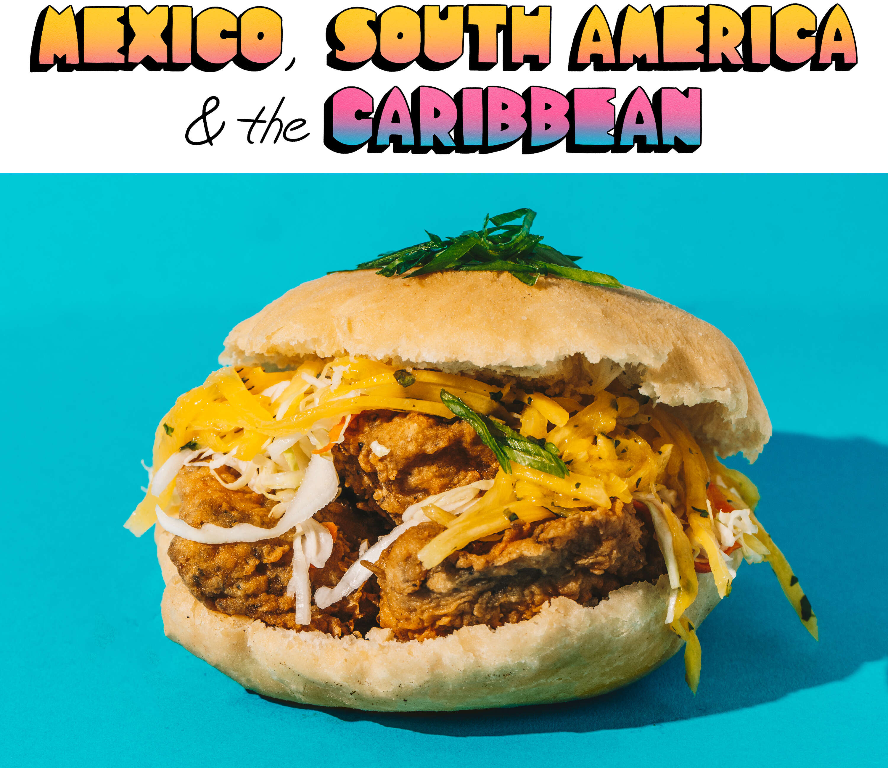 Mixico, South America & the Caribbean Bake and shark