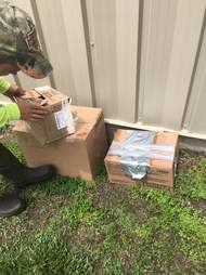 cats found in taped up boxes