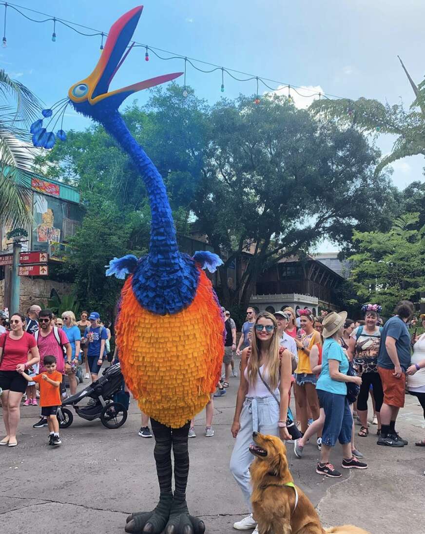 service dog goes to disney