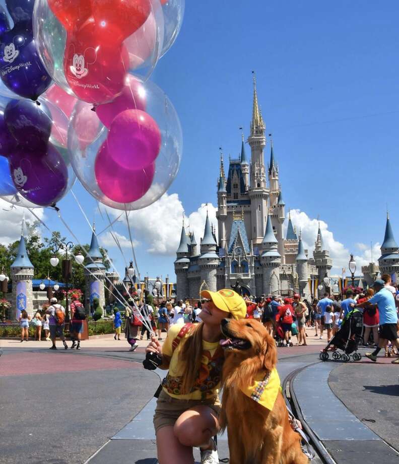 service dog goes to disney