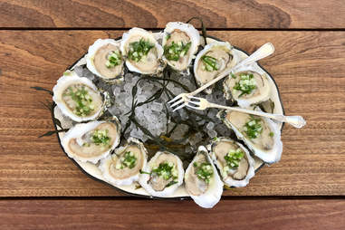 island oyster
