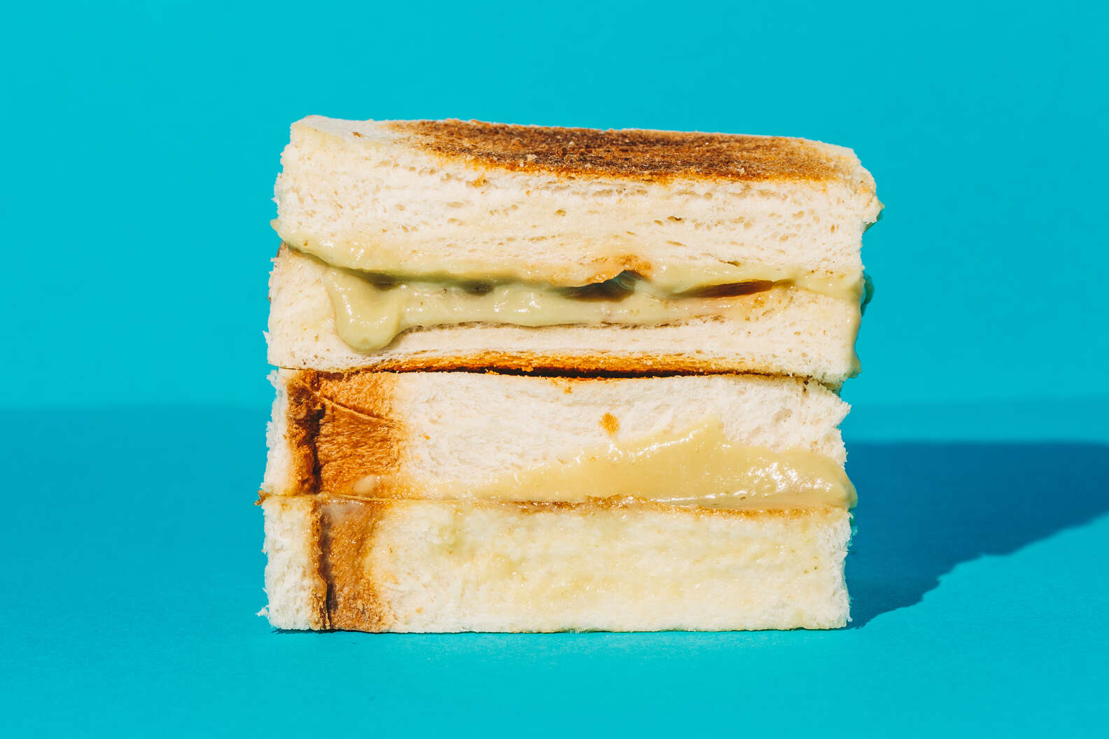 Best Sandwiches Around the World: A Guide to 80 Types of Sandwiches ...