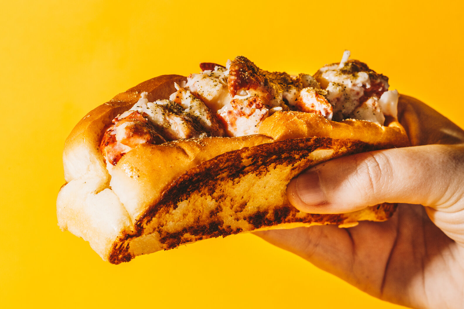 Best Sandwiches Around the World A Guide to 80 Types of Sandwiches