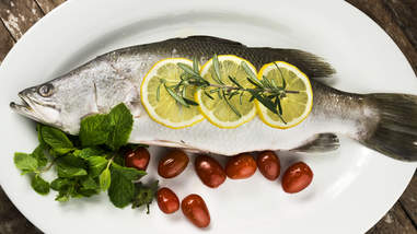 barramundi