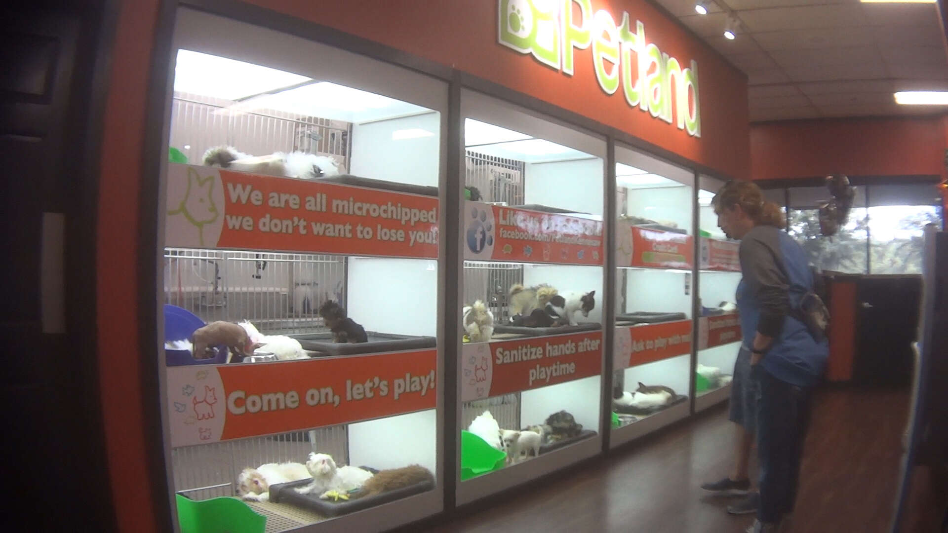 The kennels at the Georgia Petland