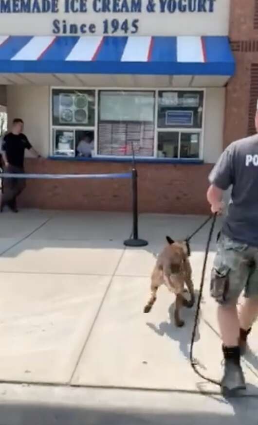 police dog gets ice cream