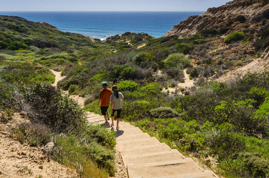 are dogs allowed at torrey pines hike