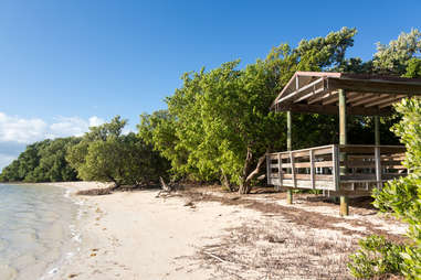 Steve Heap/shutterstock