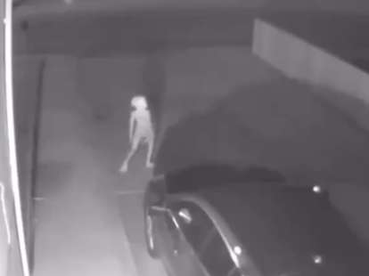 Dobby Appears in Security Video: Footage Captures the Harry Potter Elf ...