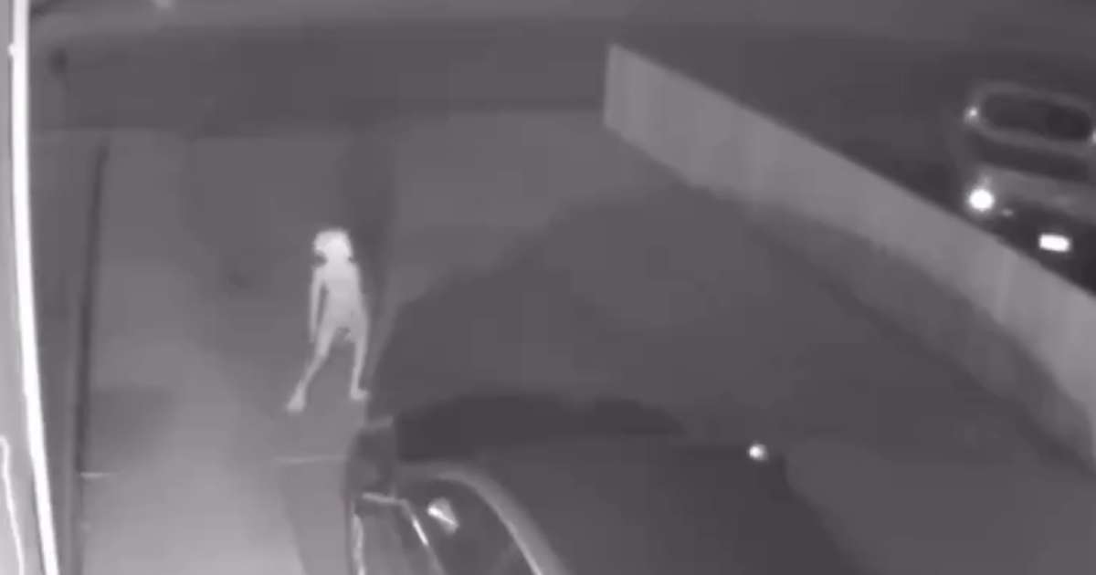 Dobby Appears in Security Video Footage Captures the Harry Potter Elf