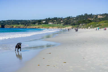 Carmel Beach