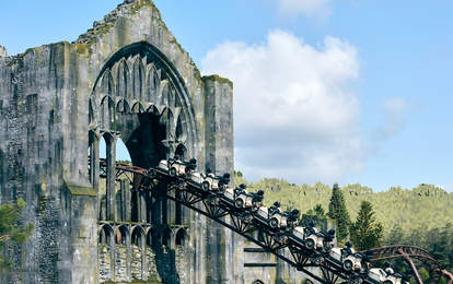 Hagrid roller coaster